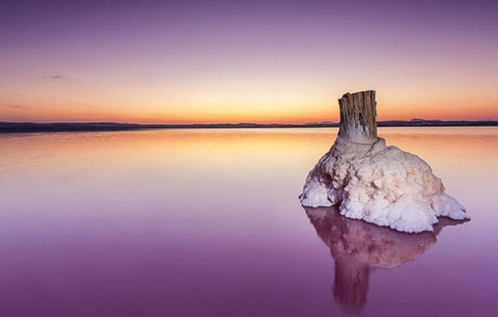 The torrevieja lagoons