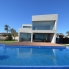 The villa with swimming pool 