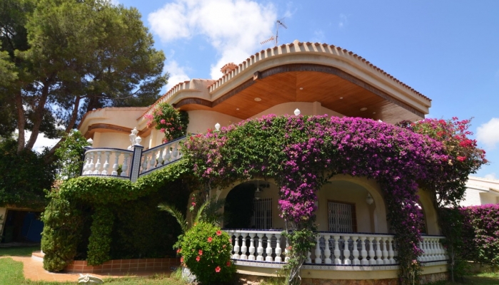 Beautiful detached house for sale in Campoamor